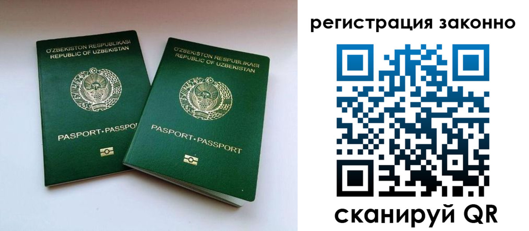прописка гарантия в Дивногорске